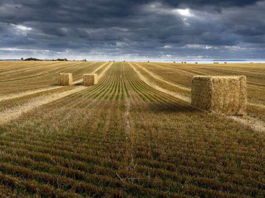 no tengo escrituras ni de la casa ni de las tierras del pueblo