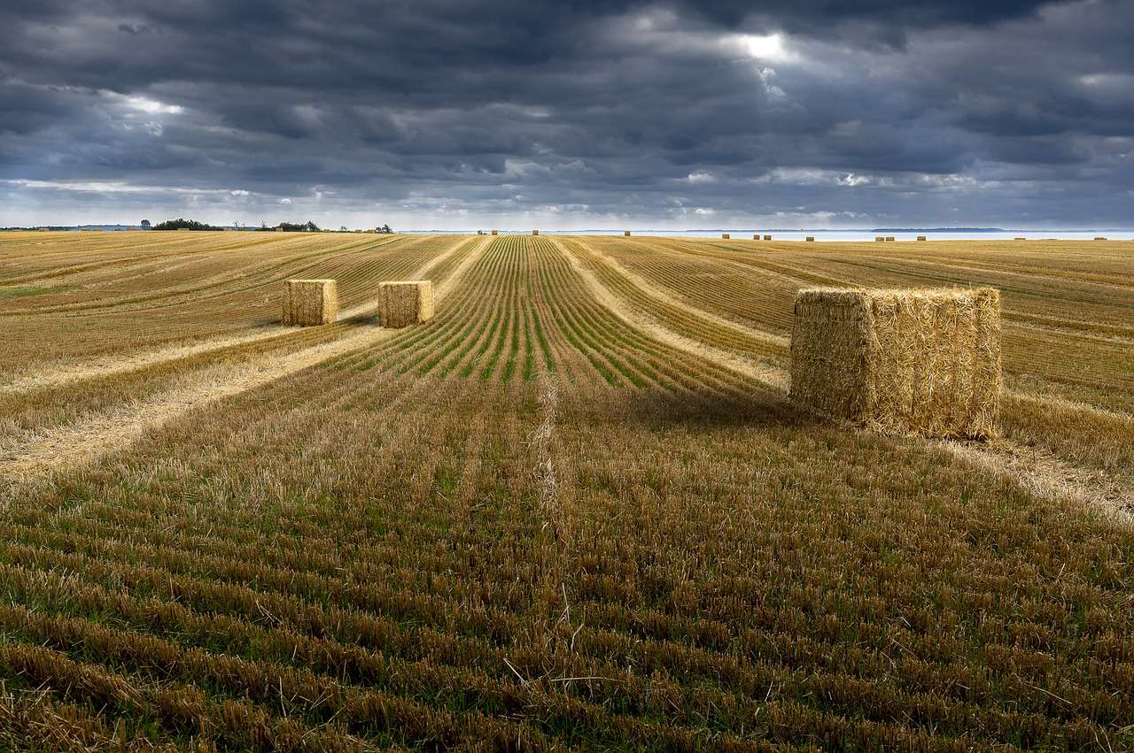 no tengo escrituras ni de la casa ni de las tierras del pueblo